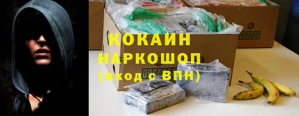 тгк Абаза